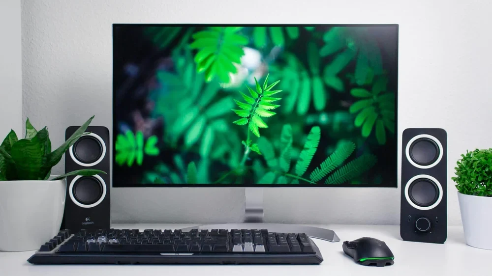Understanding the Function of a Monitor