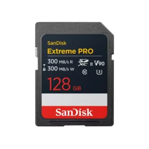 SDSDXDM-128G-GN4IN