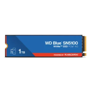 WDS100T5BOE