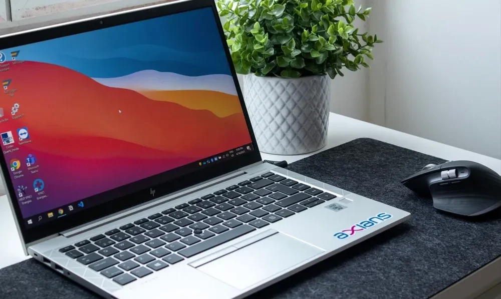 HP Laptop, with plant
