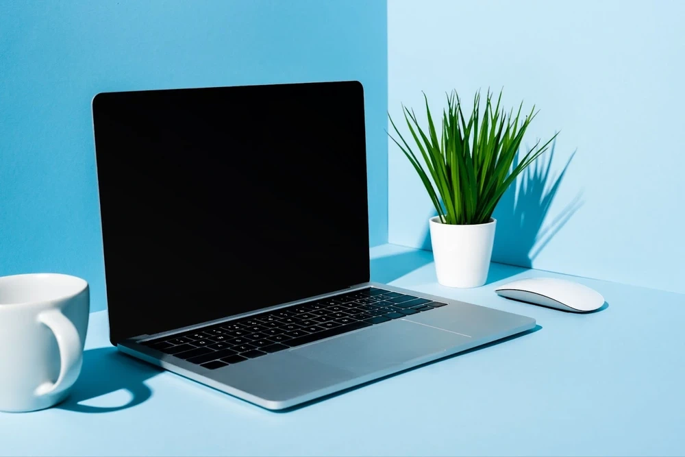 neat setup of a healthy work desk